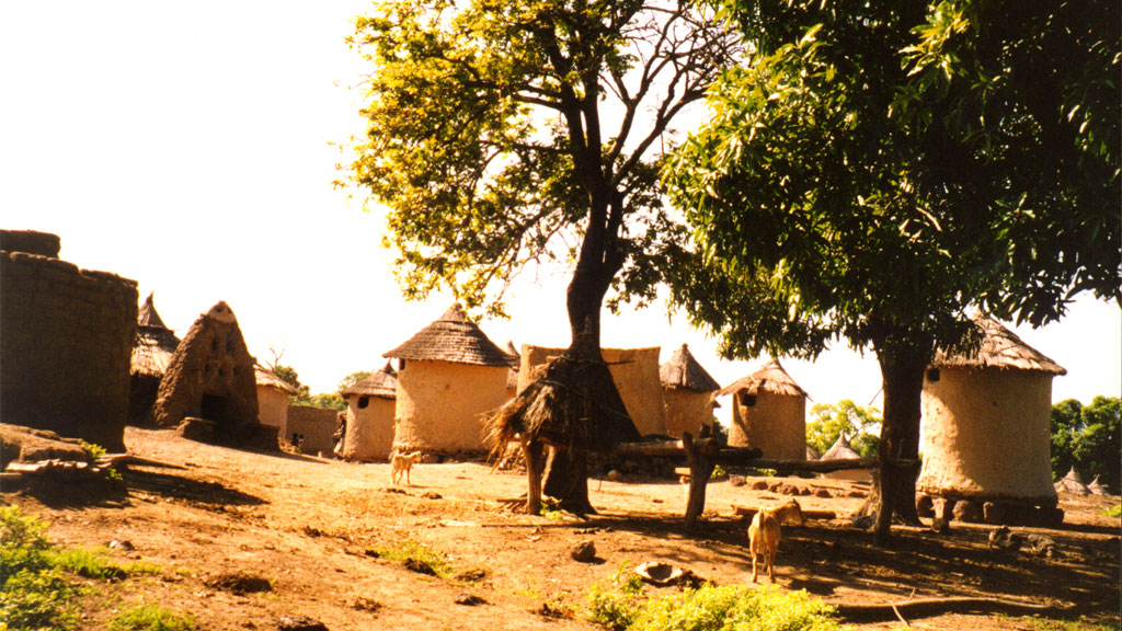 animals and buildings the distance